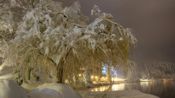Красивая зима