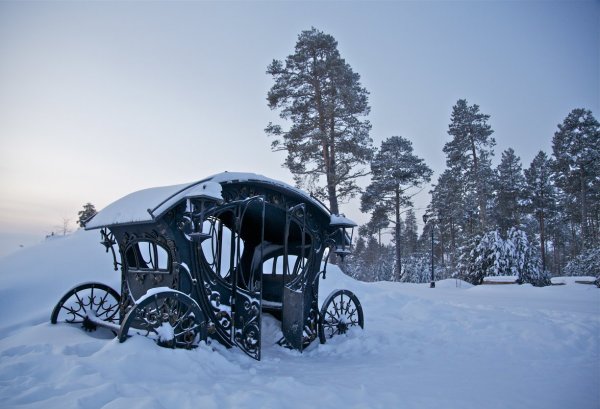 Зимняя карета