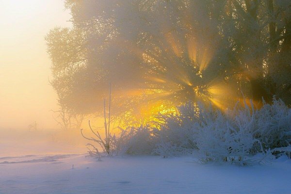 Зимнее утро