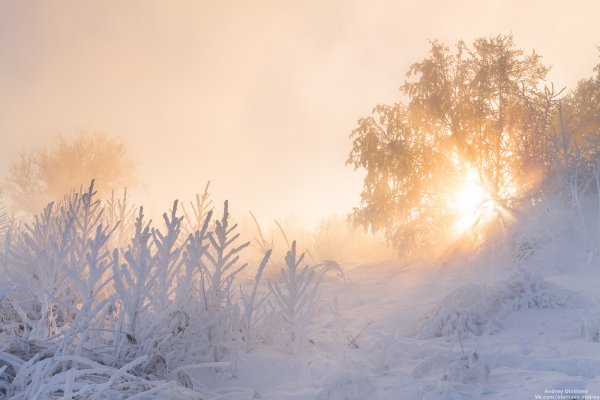 Морозное утро