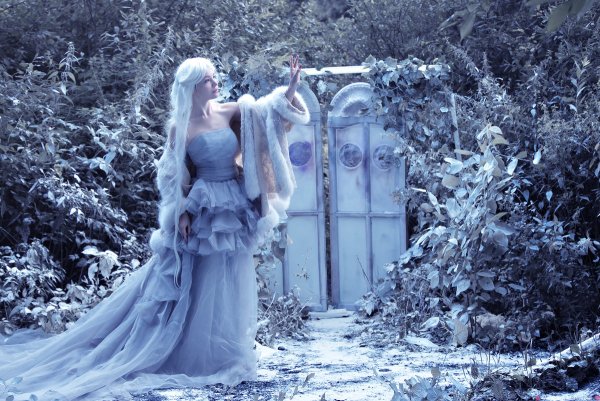 Лес снежной королевы