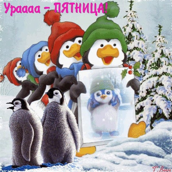 Открытки с зимней пятницей