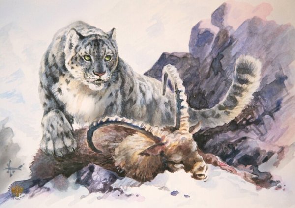 Художник анималист Александр Дегтев