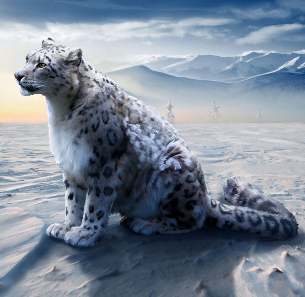 Ирбис Байкальский