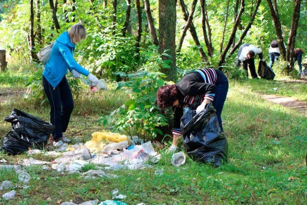 Уборка мусора в парках