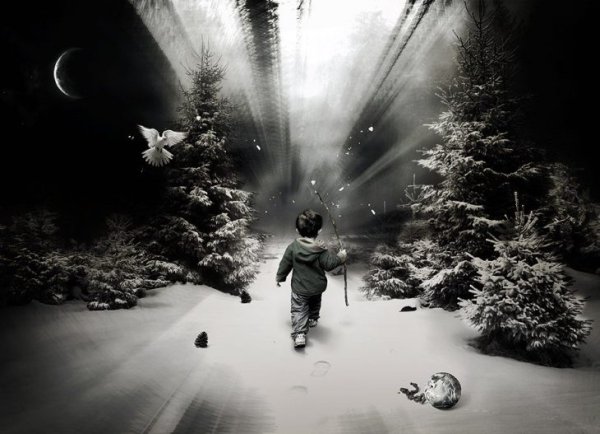 Мальчик в тумане