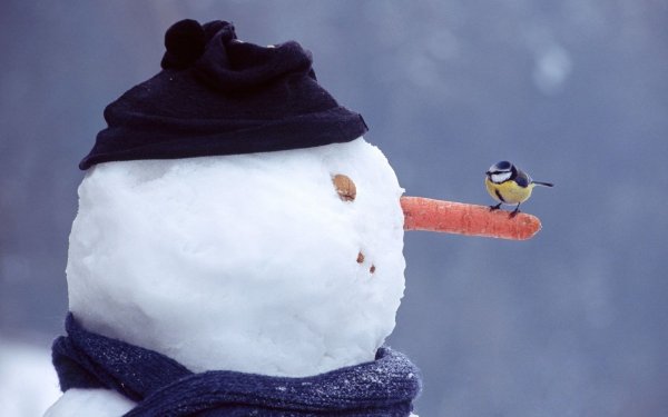 Необычные Снеговики