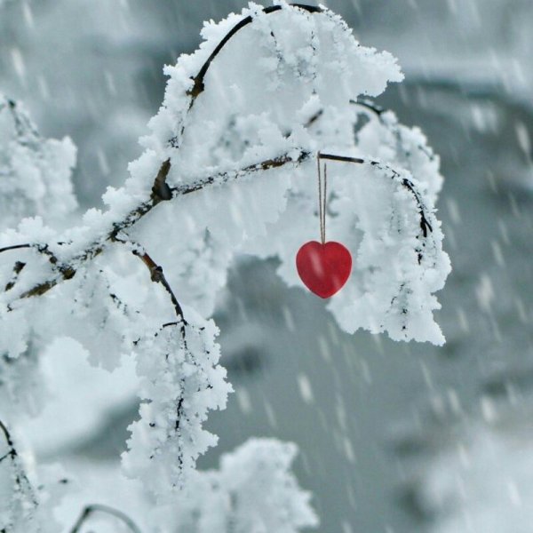 Зима любовь