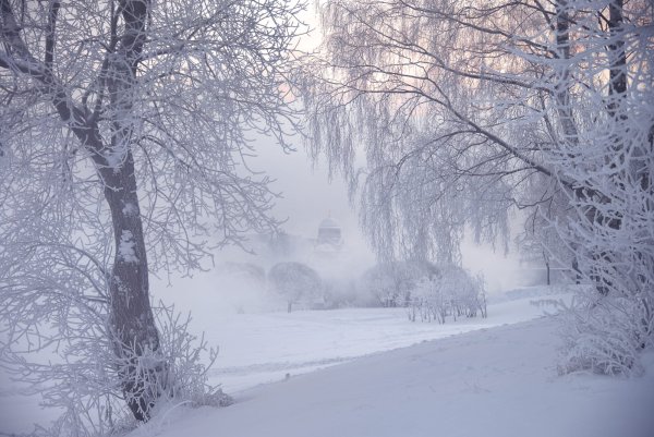 Зима метель