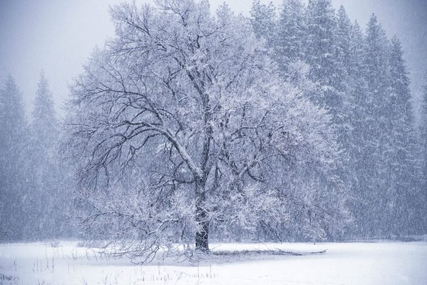 Зимний пейзаж