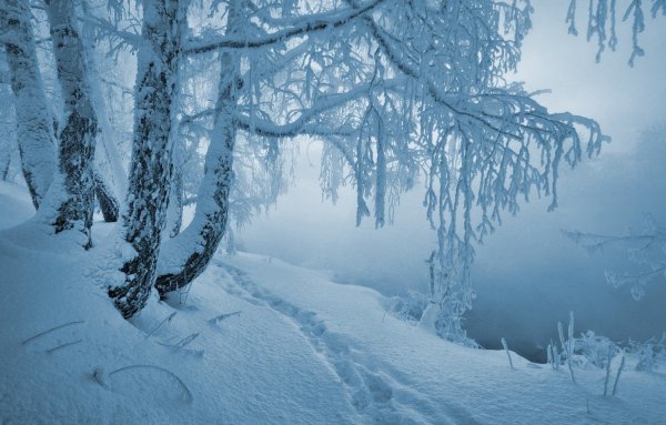Красота зимы
