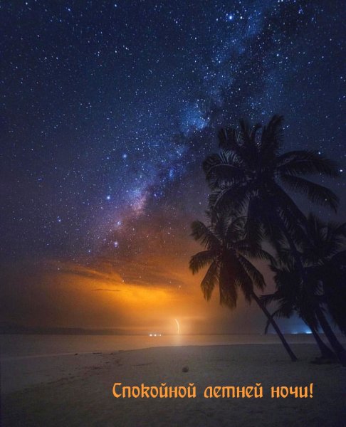 Пальмы ночью