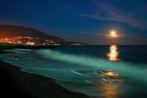 Ночной Южный берег Крыма Ялта