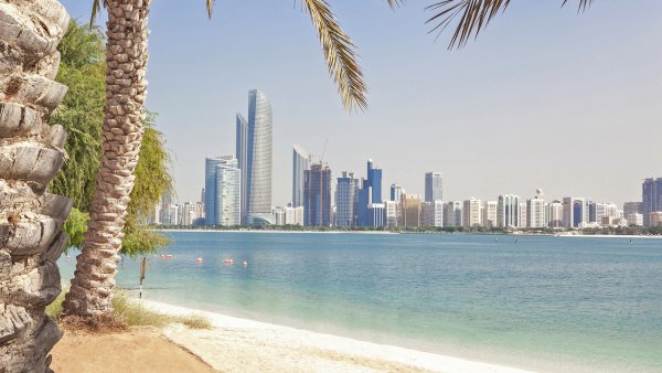 Пальма Абу Даби