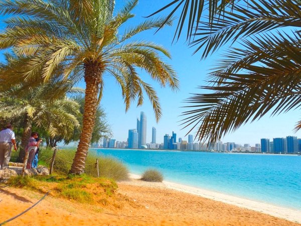 Дубай пальмы Оазис