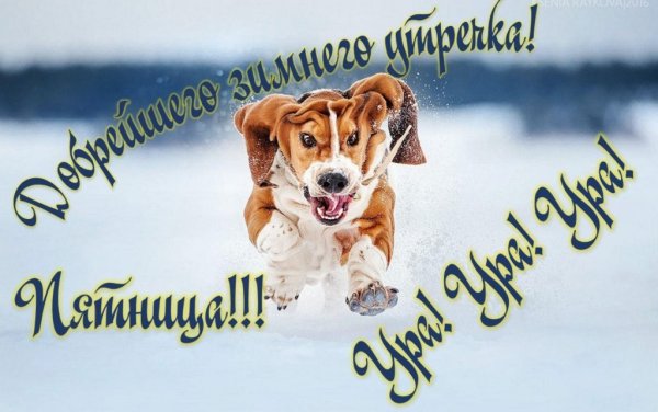 С добрым зимним утром пятницы