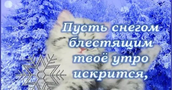 Доброе зимнее утро пятн цы