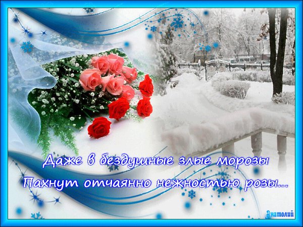 Зимние пожелания