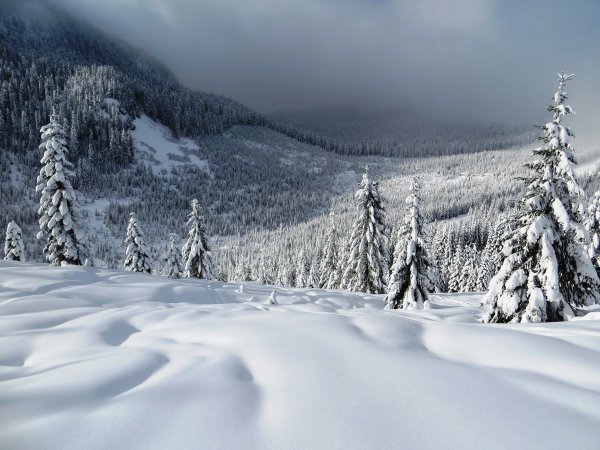 Заснеженная Долина
