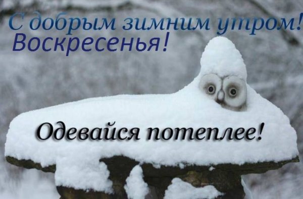 С добрым морозным утром прикольные