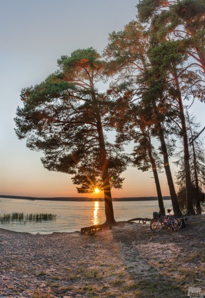 Липовский пляж Сосновый Бор