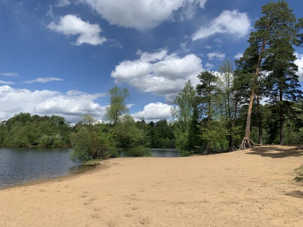 Серебряный Бор пляж