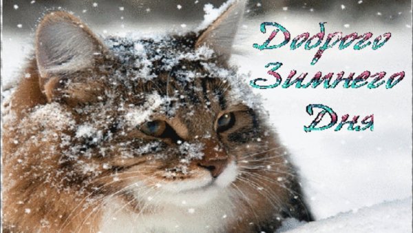 Приятного зимнего дня