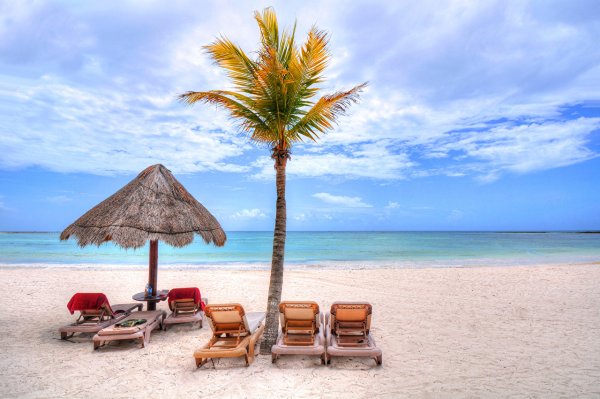 Пляж с пальмами