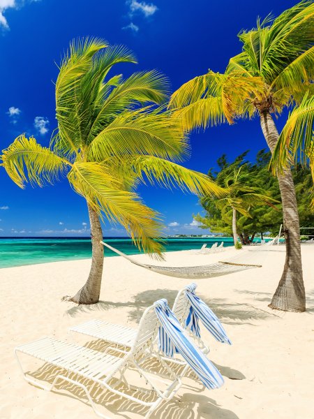 Море пляж пальмы