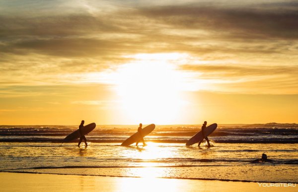 Серфинг на рассвете