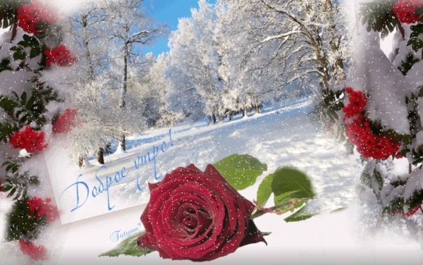 Яркого зимнего дня и хорошего настроения