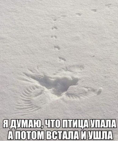 Прикольные следы на снегу