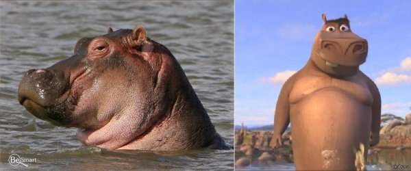 Мото мото Бегемот