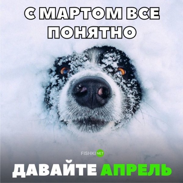 Доброе Снежное утро прикол