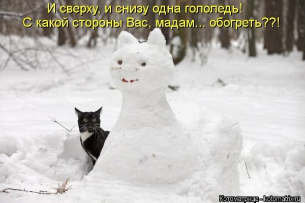 Приколы про снег