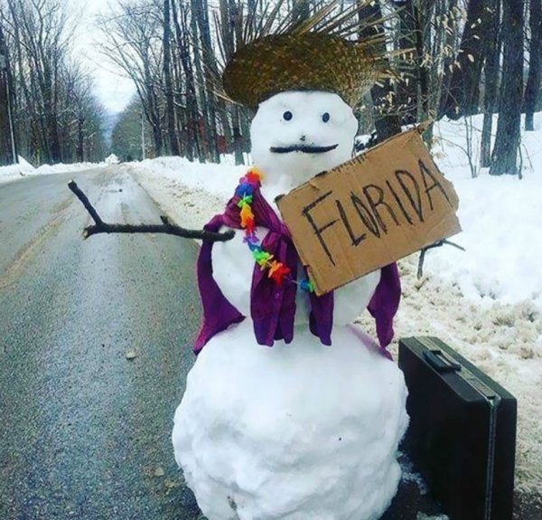 Снежная зима юмор