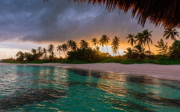 Тропический остров