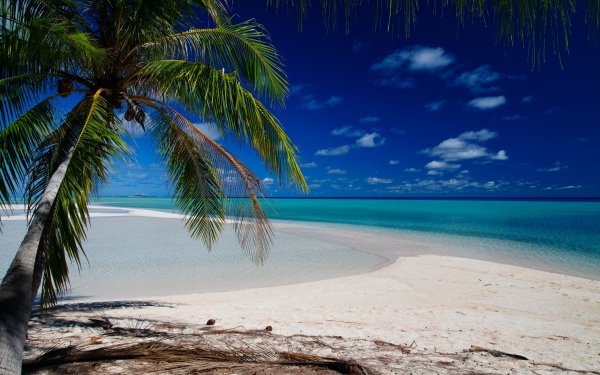 Пляж Туамоту, Атолл французская Полинезия