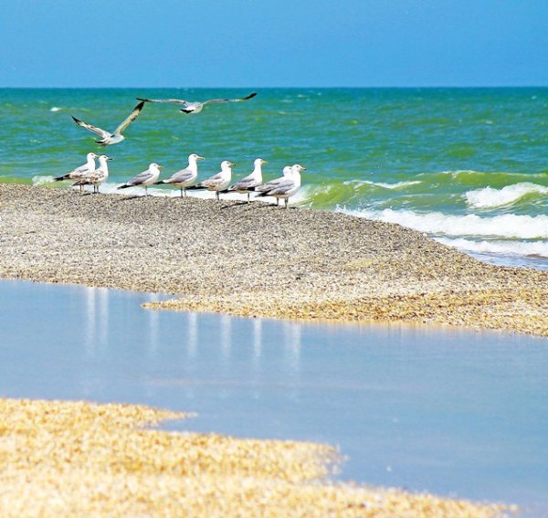 Геническ Азовское море