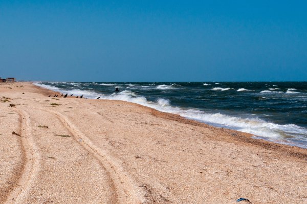 Арабатская стрелка, Азовское море, Крым