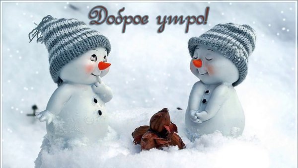 Доброе утро зима прикольные