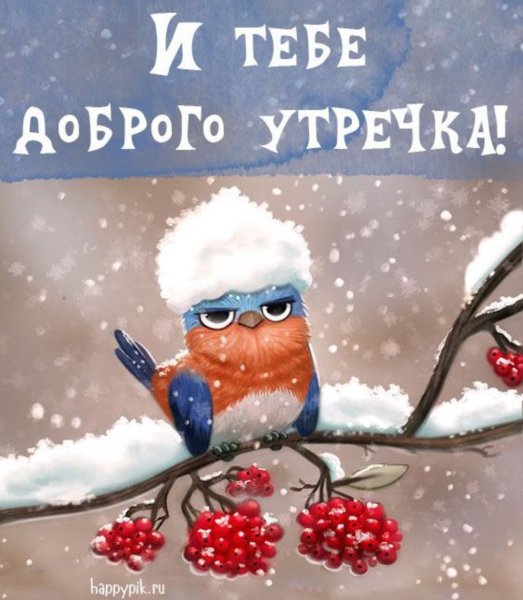 С добрым морозным утром прикольные