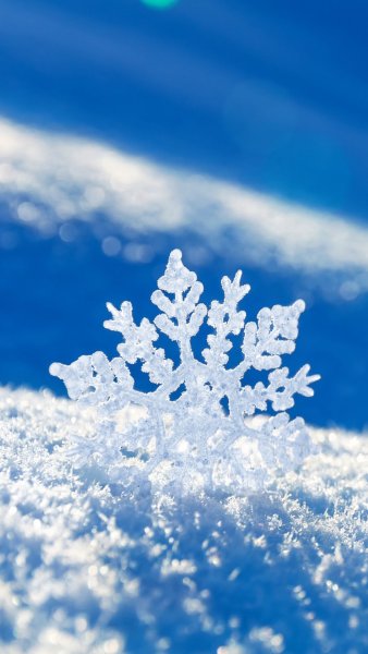 Зима снежинки