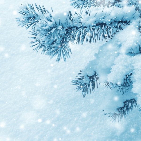 Зима снегопад