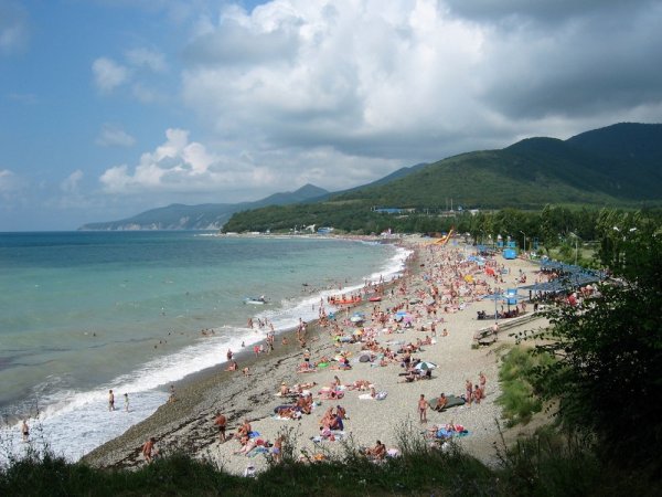 Поселок Криница Краснодарский край