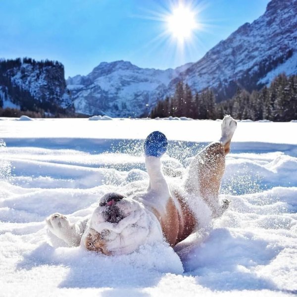 Пушистой вам зимы и осадков в виде счастья