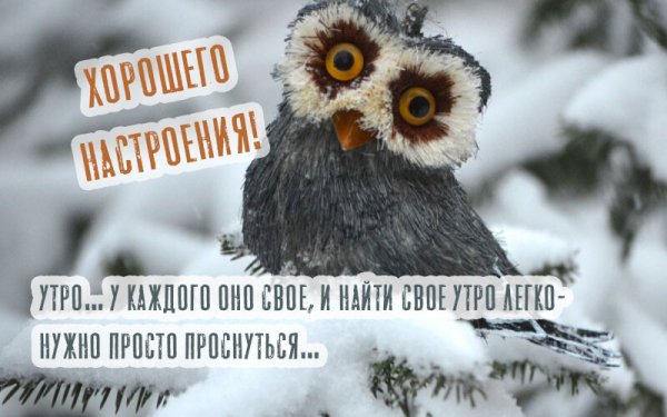 Доброе Холодное утро зима