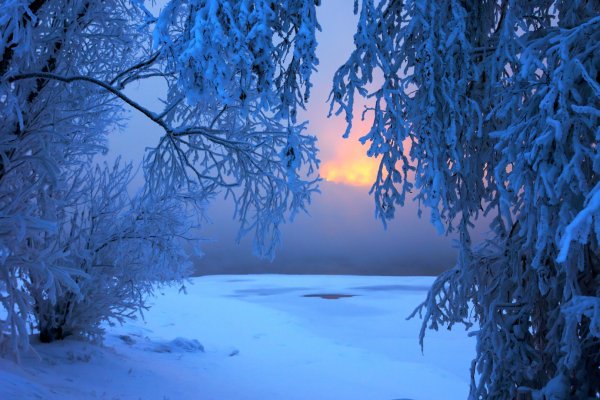 Снежное утро