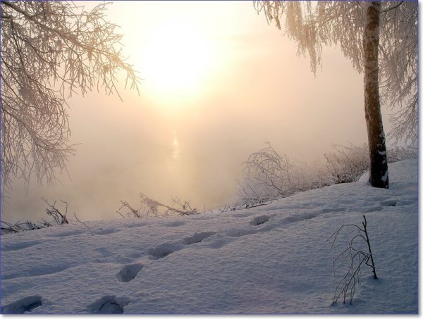 Доброе морозное утро февраля
