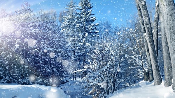 Снежное утро